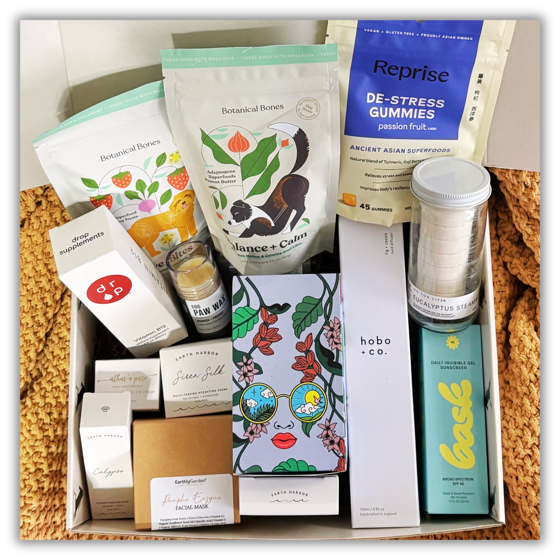 Meet the First Brands in the Collective!