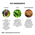 5 PM Good Feeling Tulsi Tea - V Collective