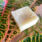 Eco-Friendly Unscented Pet Conditioner Bar with Argan Oil - V Collective