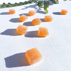 Concentrate Mushroom Gummies (30) / Vegan Supplement / Focus - V Collective