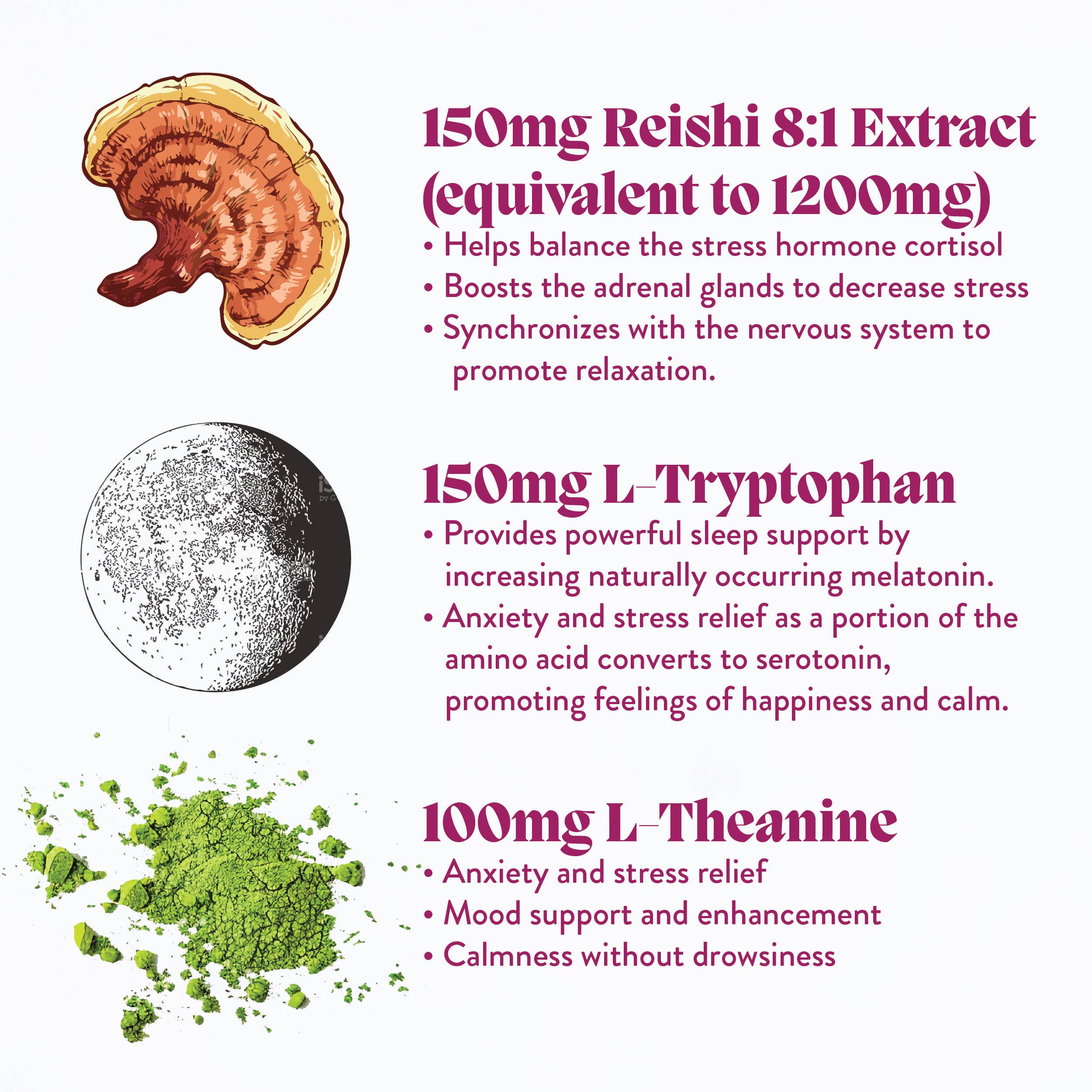 Hibernate Mushroom Gummies (30) / Vegan Supplement / Sleep - V Collective