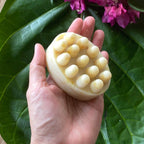 Natural Vegan Pet Soap Dog or Cat Shampoo Bar Non-Toxic - V Collective