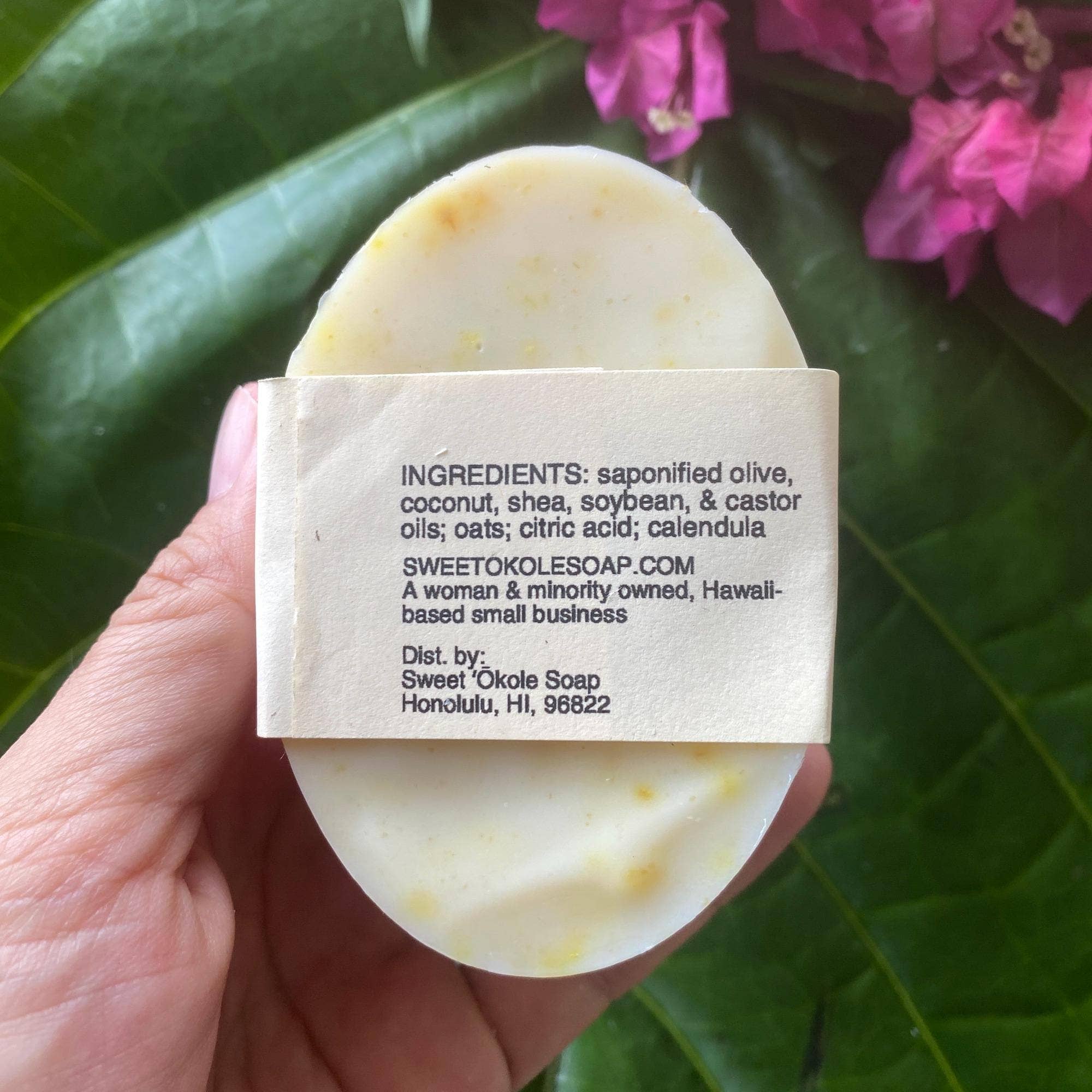 Natural Vegan Pet Soap Dog or Cat Shampoo Bar Non-Toxic - V Collective