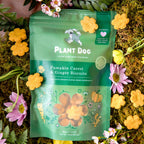 Pumpkin and Carrot Ginger Biscuit- Anti-Inflammatory - V Collective