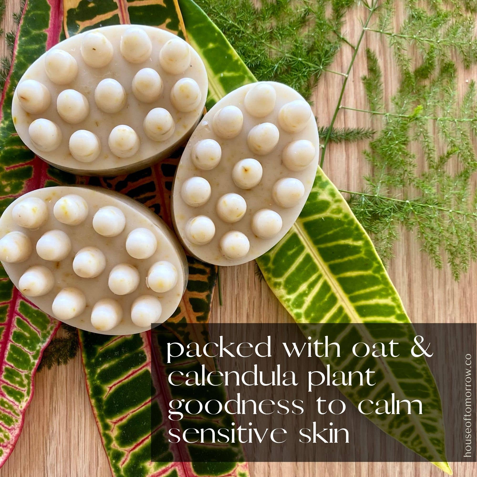 Natural Vegan Pet Soap Dog or Cat Shampoo Bar Non-Toxic - V Collective