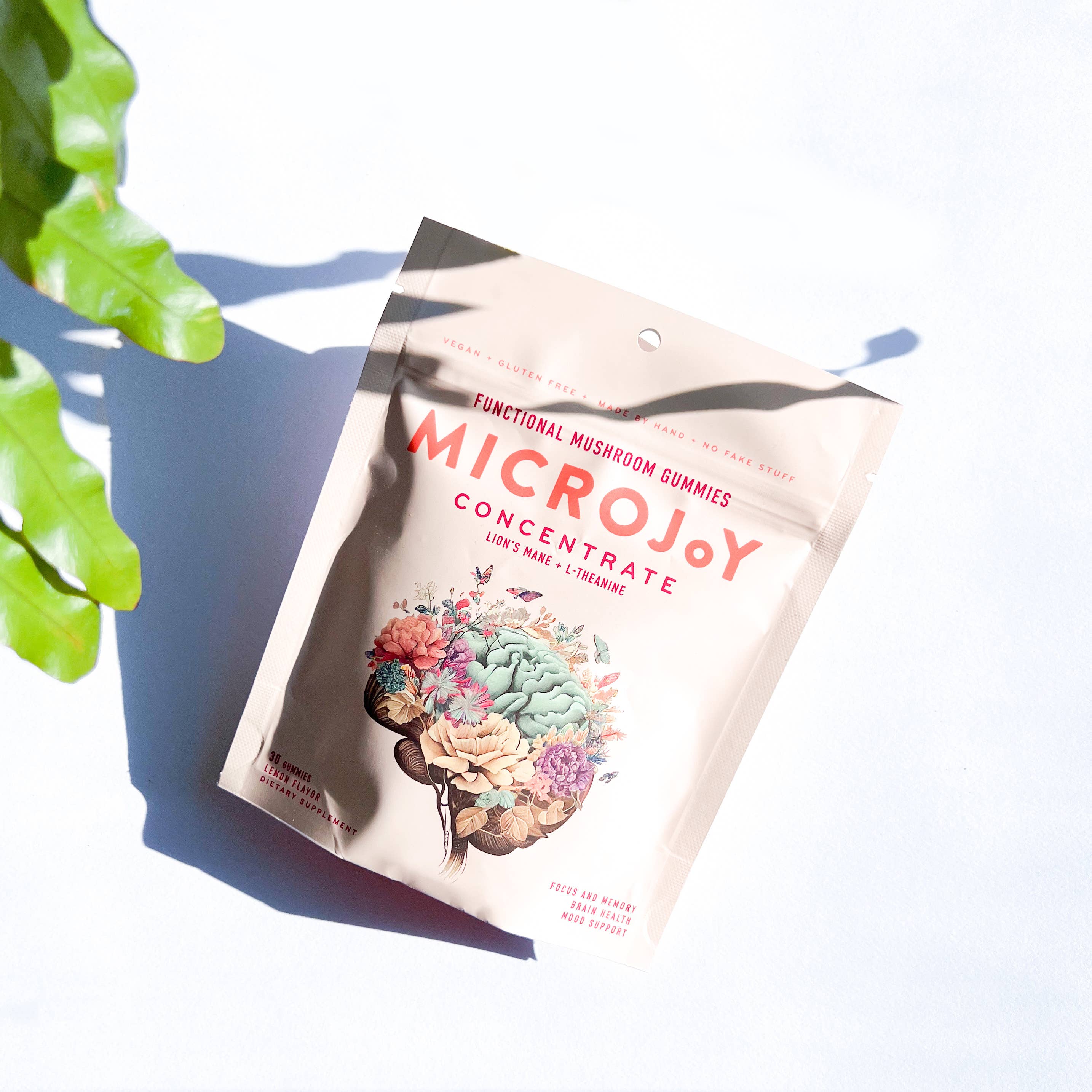 Concentrate Mushroom Gummies (30) / Vegan Supplement / Focus - V Collective