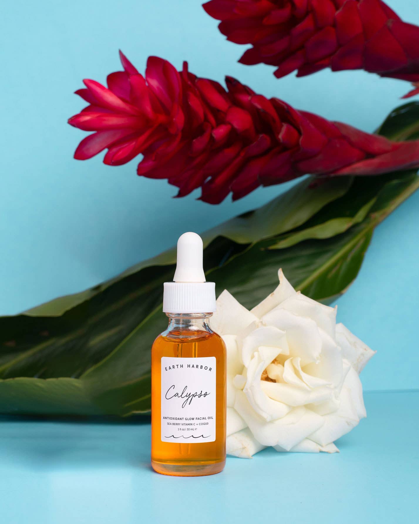Calypso Antioxidant Glow Oil - V Collective