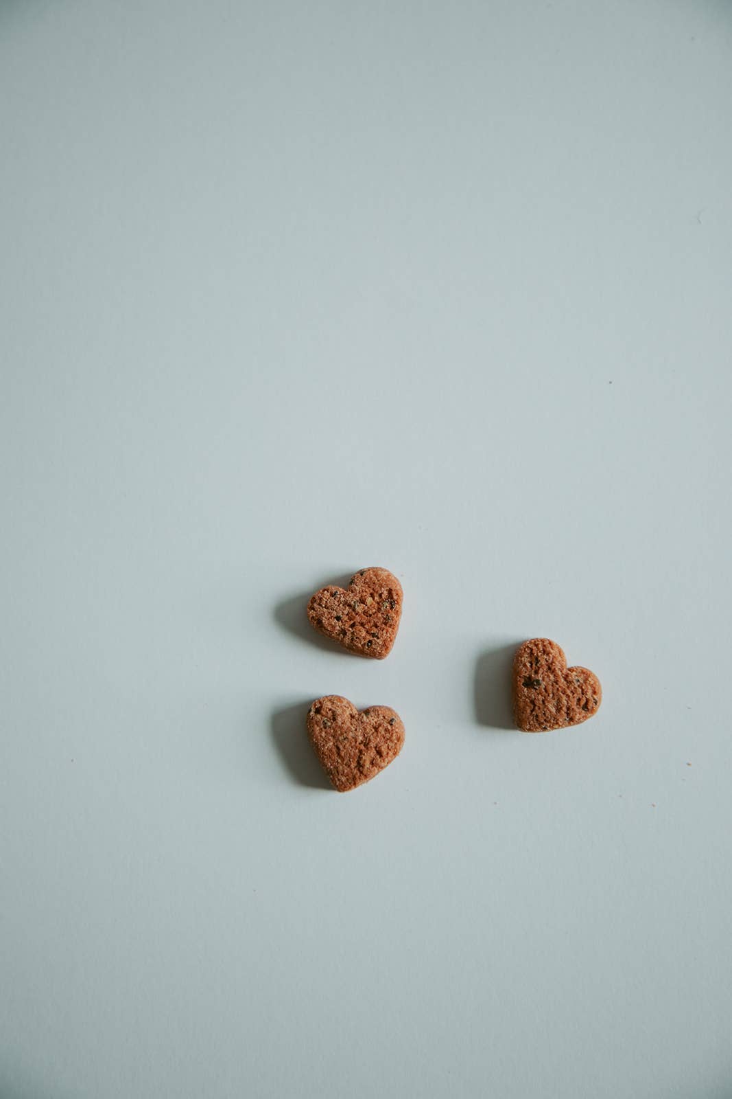 Love Bites Training Treats - V Collective