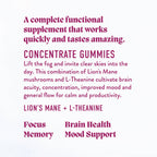 Concentrate Mushroom Gummies (30) / Vegan Supplement / Focus - V Collective