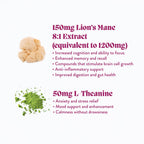 Concentrate Mushroom Gummies (30) / Vegan Supplement / Focus - V Collective